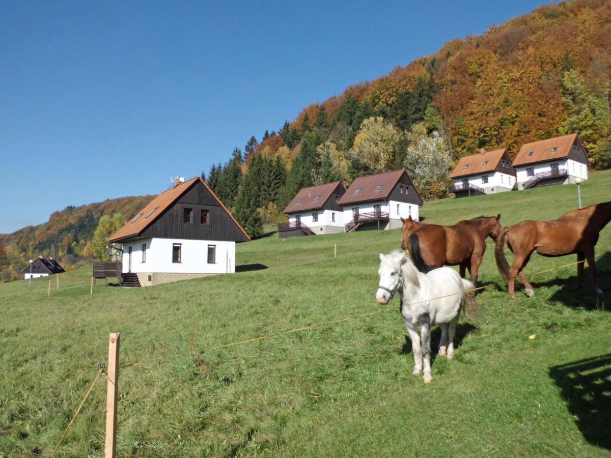 Holiday Home Starkov By Interhome Buitenkant foto