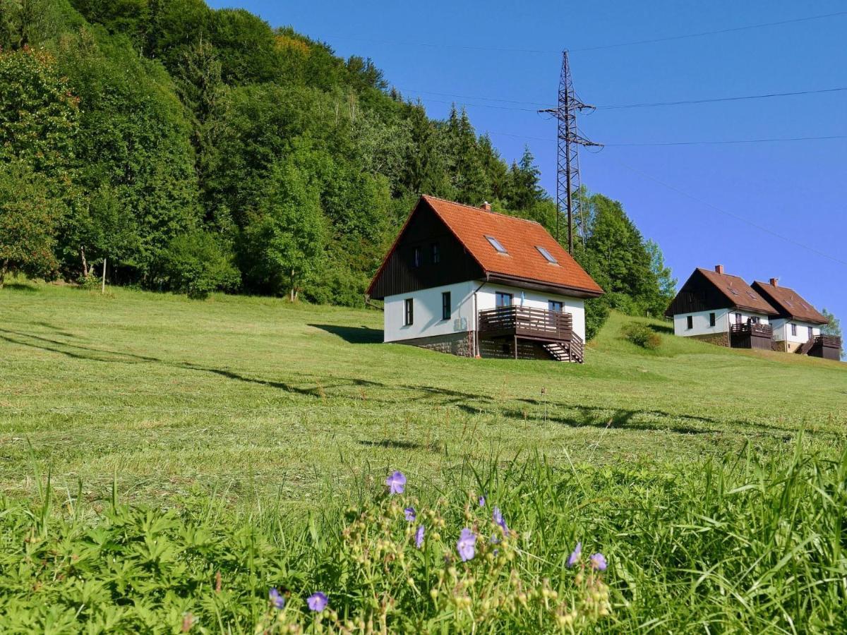 Holiday Home Starkov By Interhome Buitenkant foto