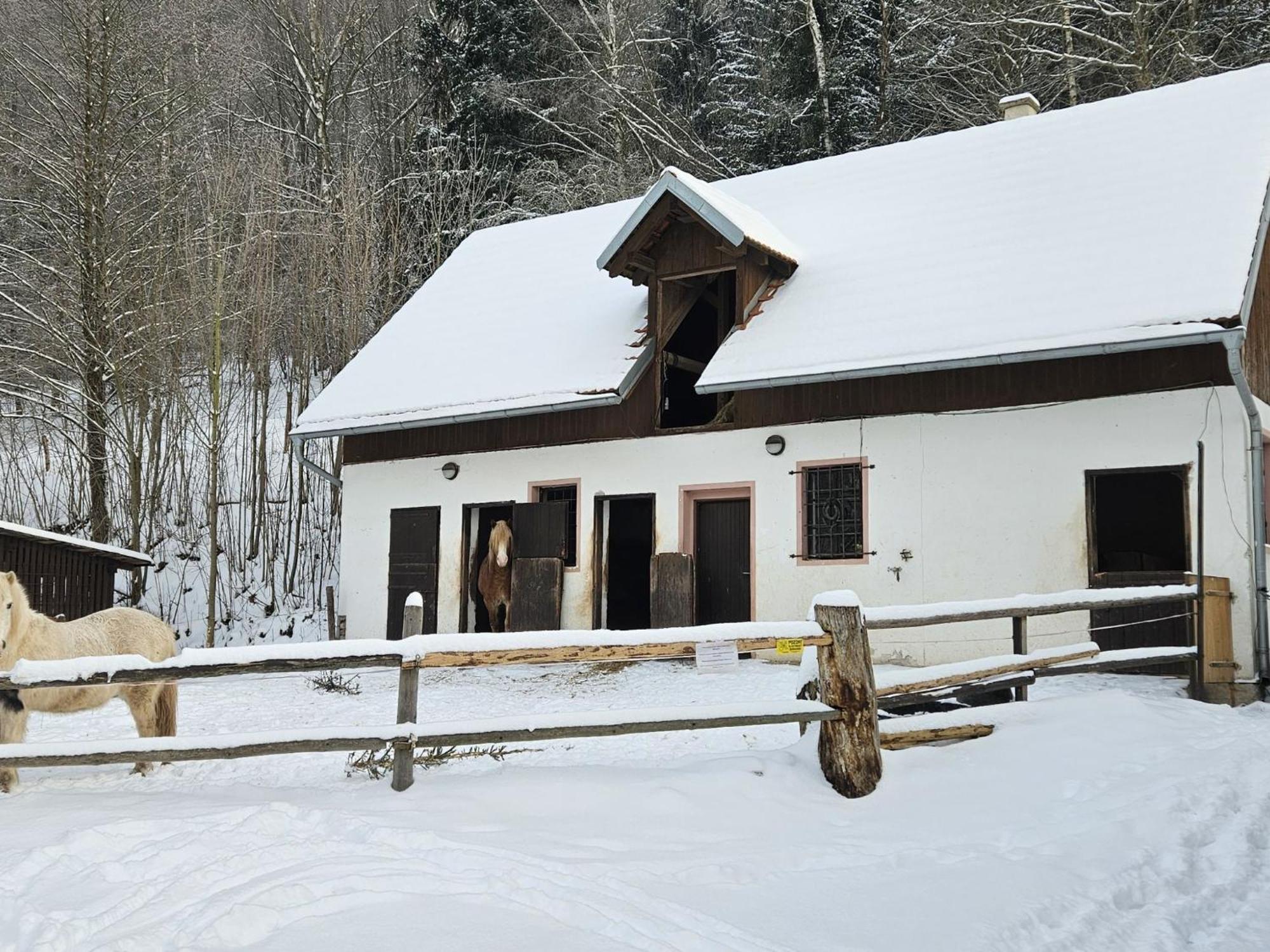 Holiday Home Starkov By Interhome Buitenkant foto
